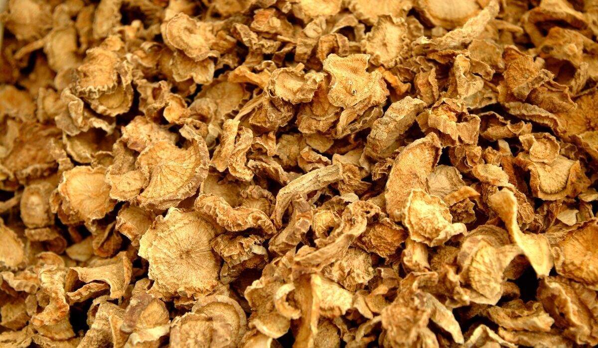 La griffe du diable, un anti-inflammatoire naturel pour dire adieu aux rhumatismes