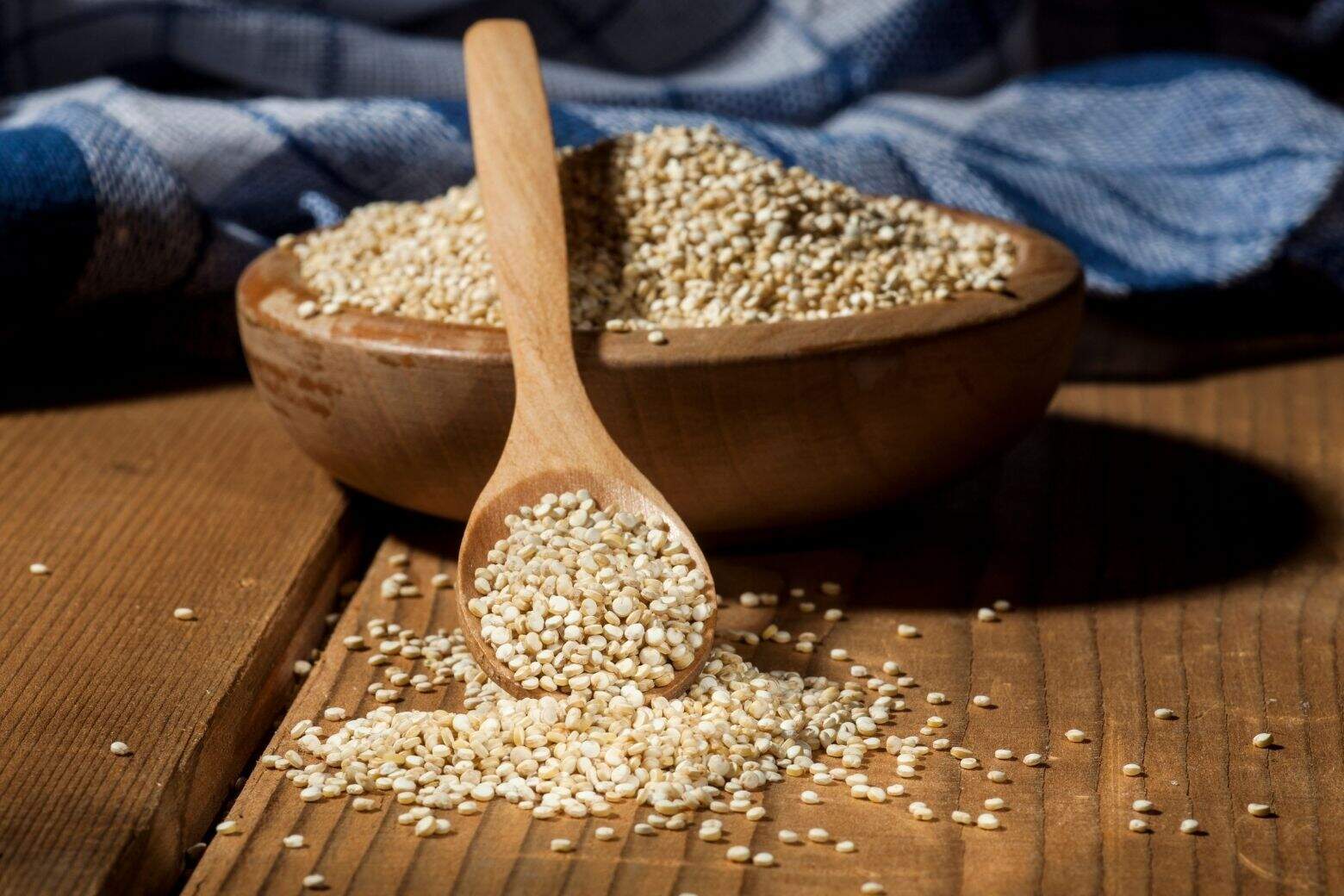 Le quinoa, un trésor de protéines