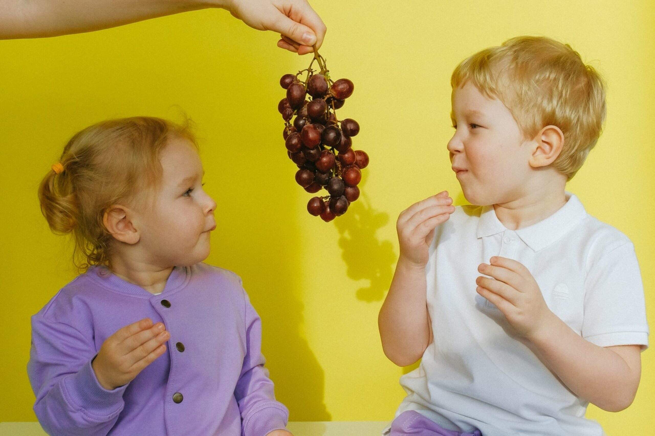 Les goûters sains dont les enfants se régalent
