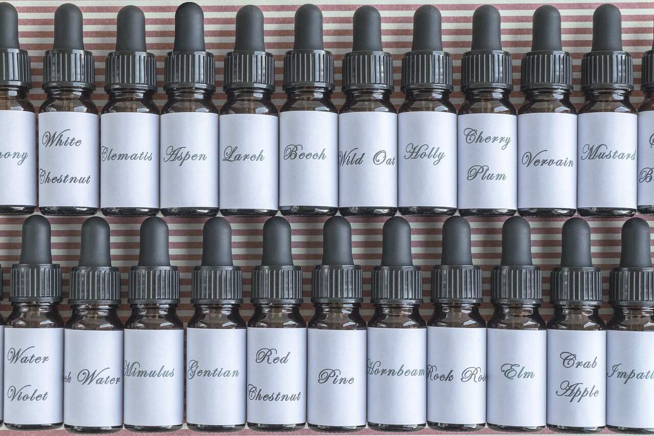 Boostez votre rentrée avec les fleurs de Bach