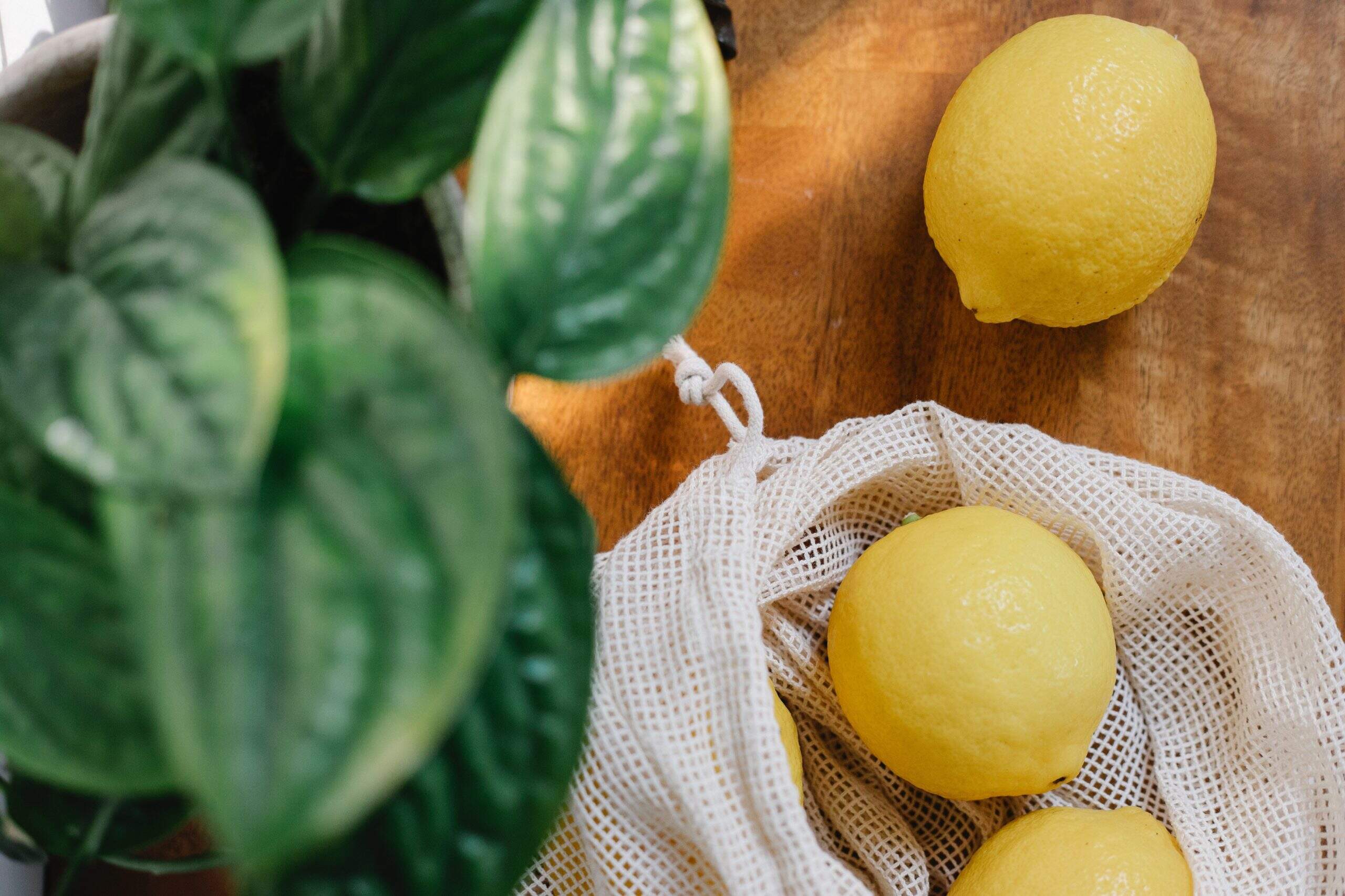 L'huile essentielle de citron jaune, une alliée indispensable aussi en olfaction