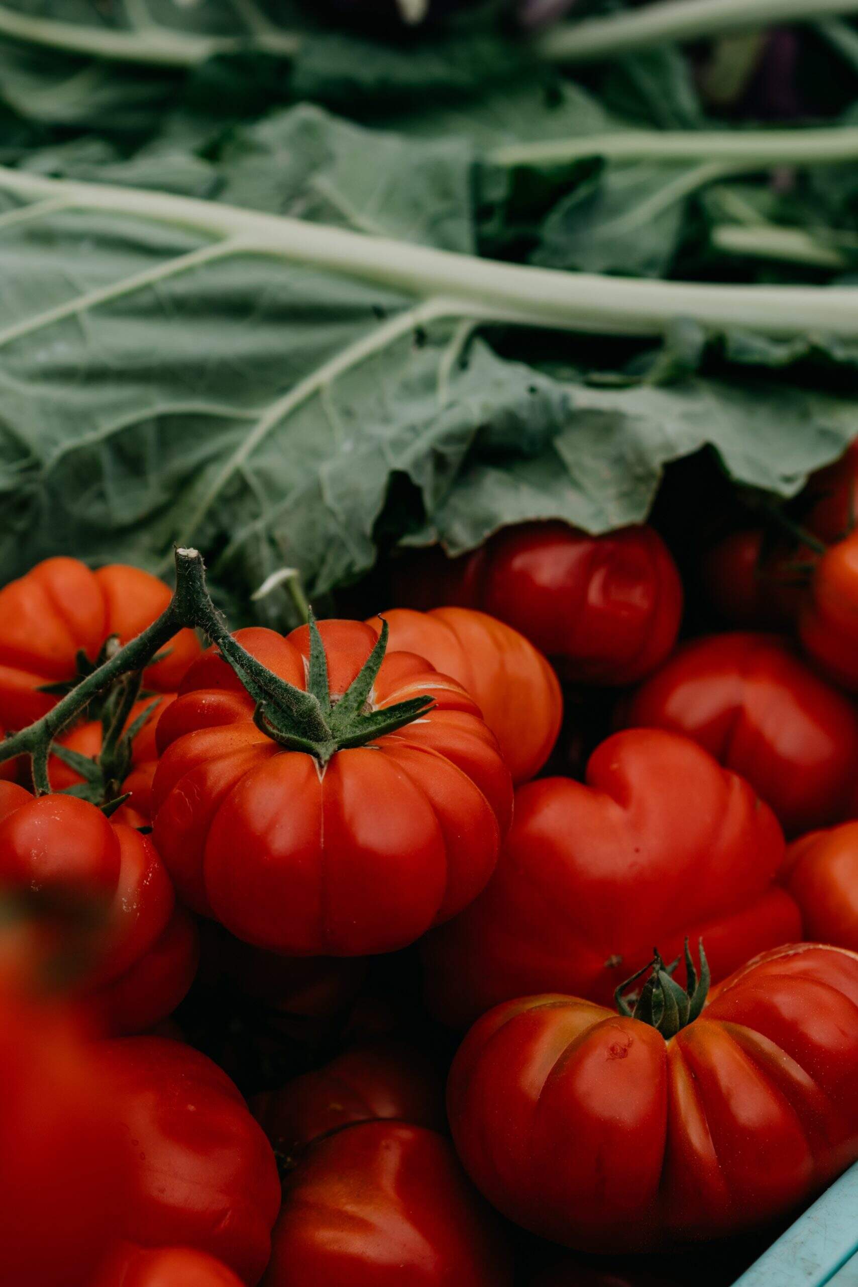 Quels sont les bienfaits de la tomate ?