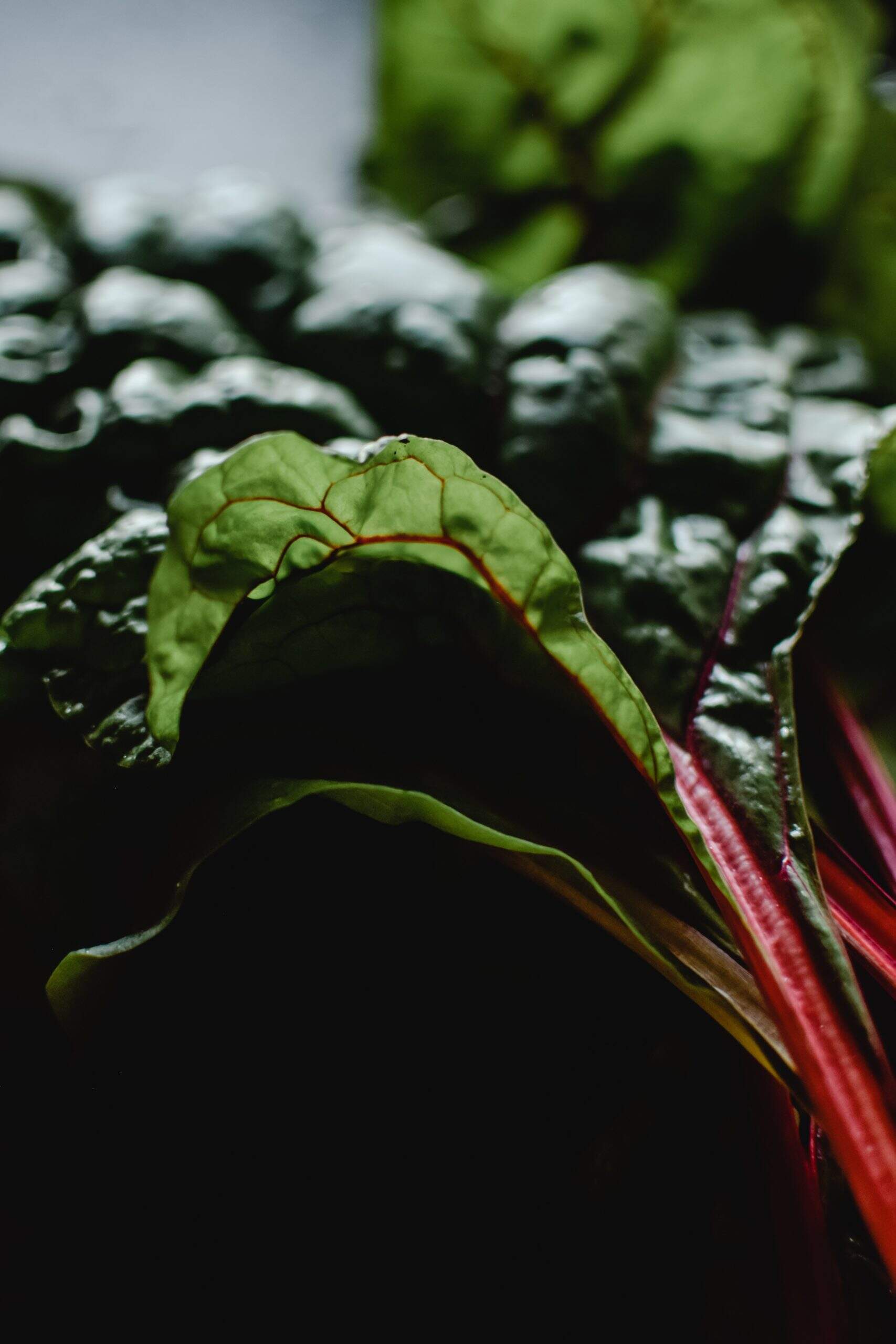 Quels sont les bienfaits des blettes ?