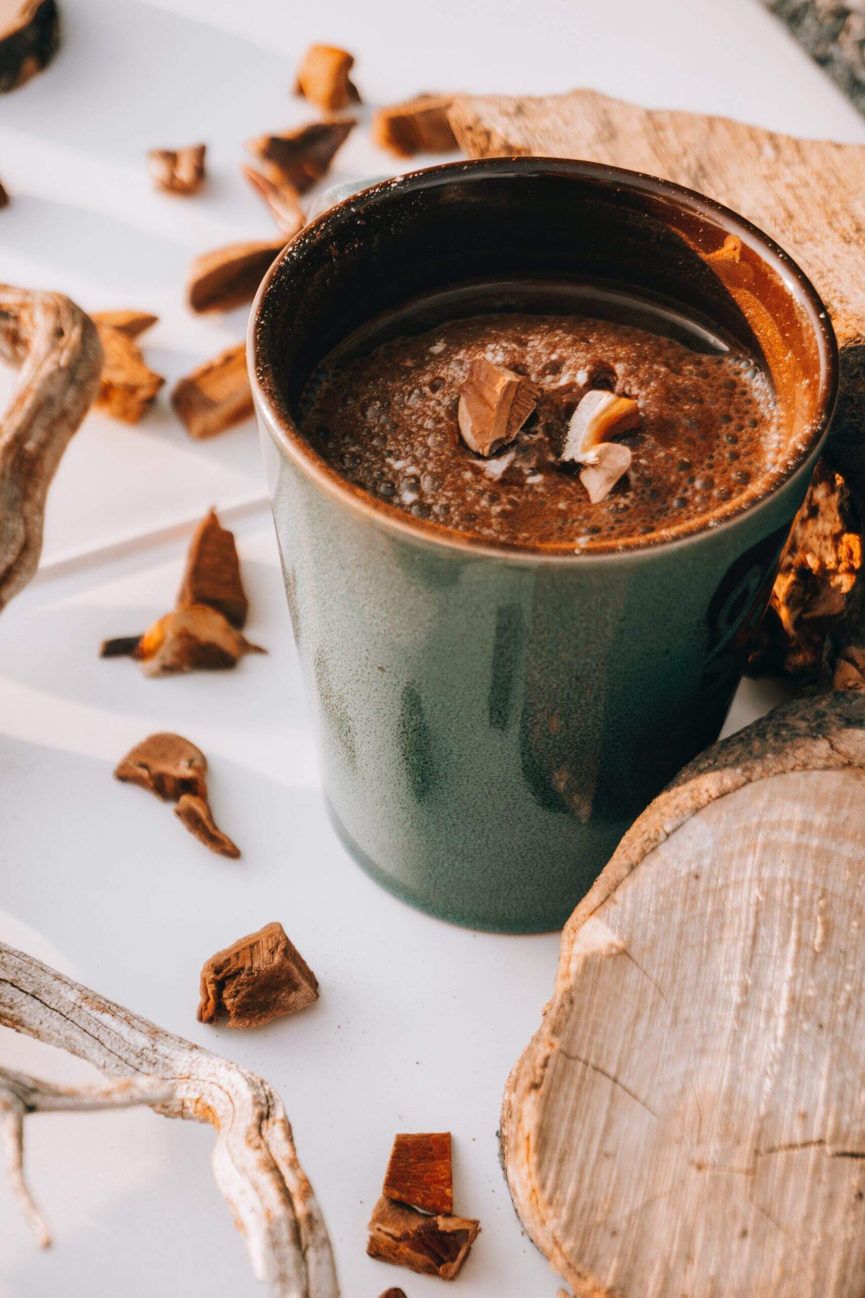 Booster son immunité grâce aux champignons d’automne