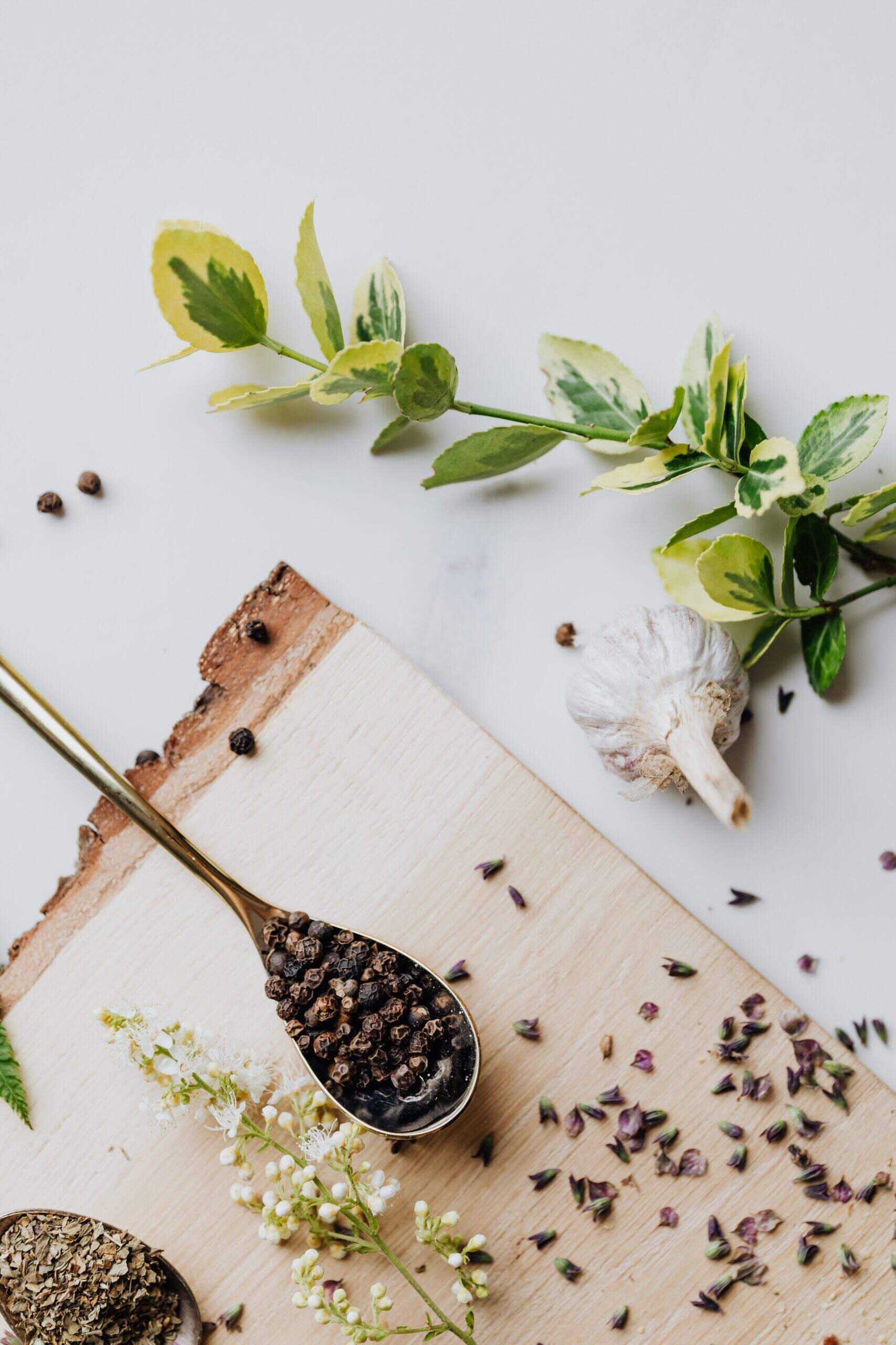 Quels sont les bienfaits de l'ail ?