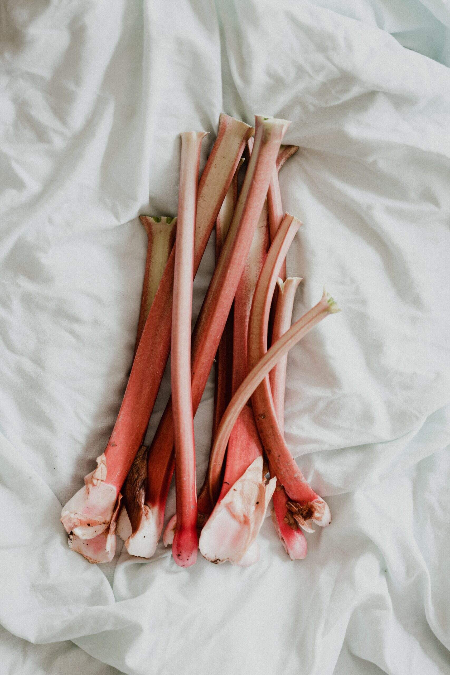 Quels sont les bienfaits de la rhubarbe ?