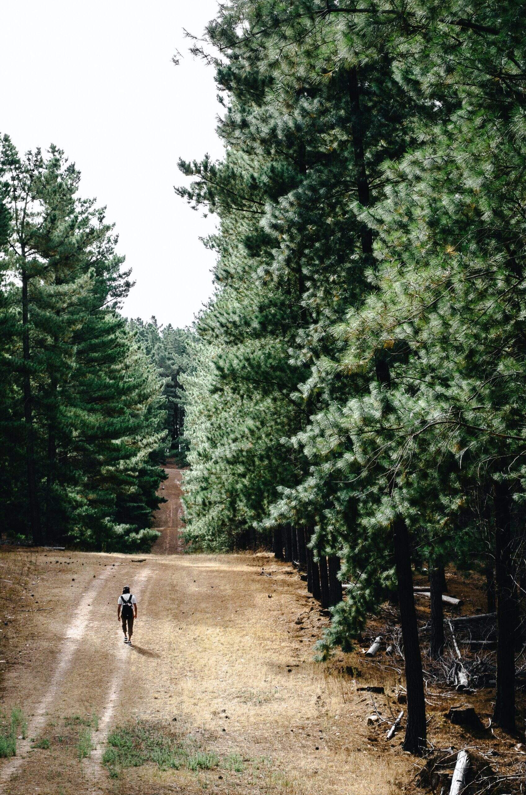 Le pouvoir de la marche afghane sur votre énergie vitale