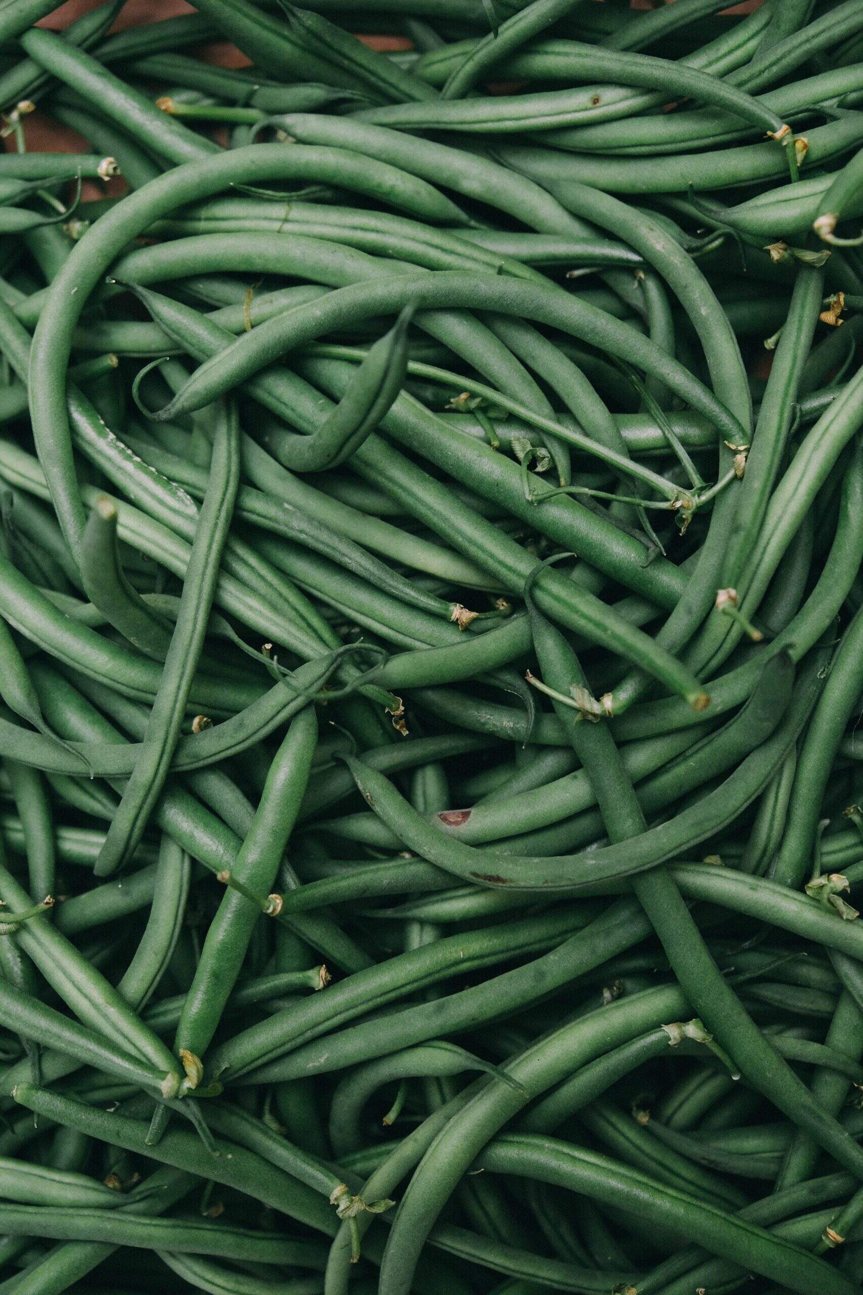 Quels sont les bienfaits des haricots verts ?