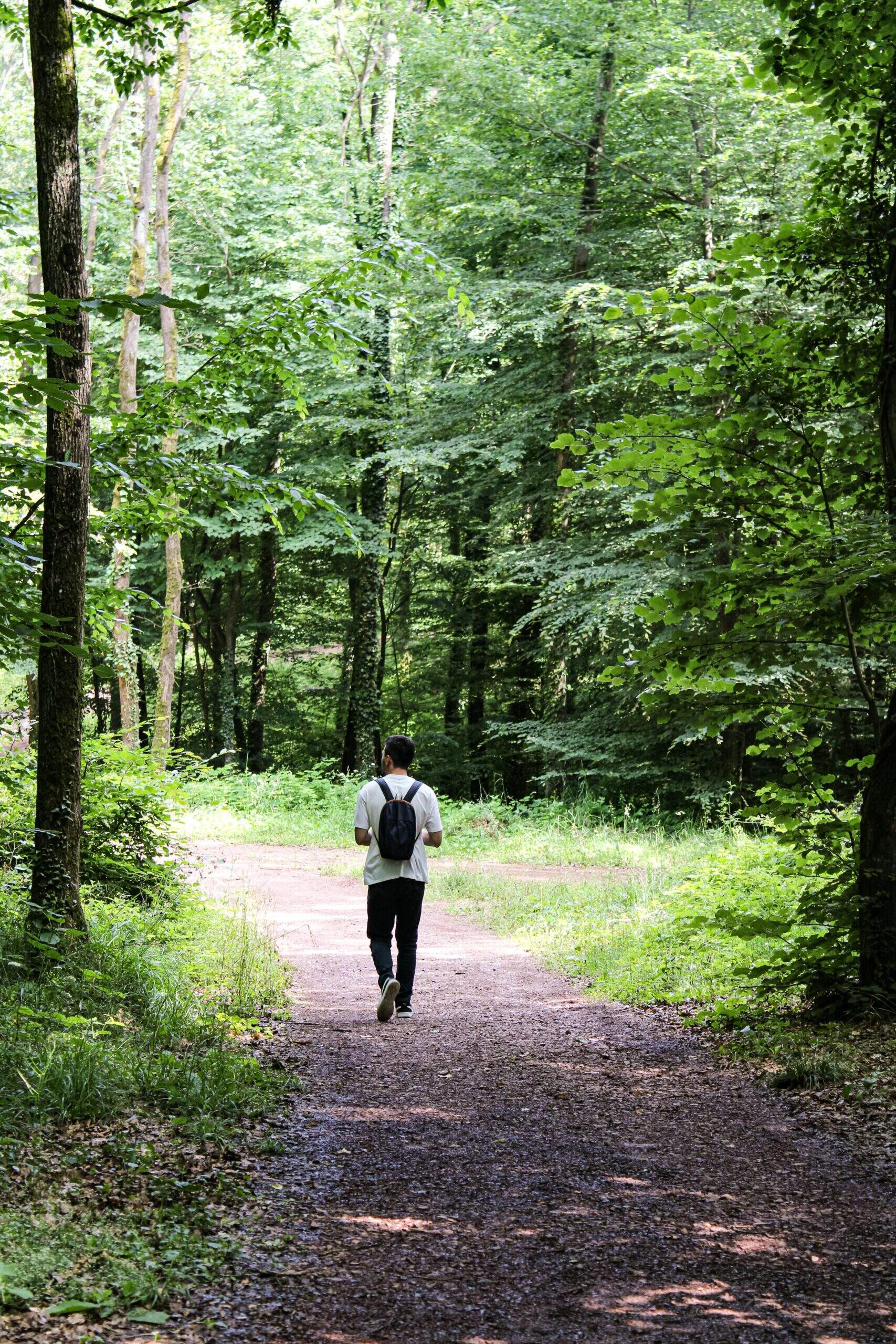La marche, un outil puissant de transformation