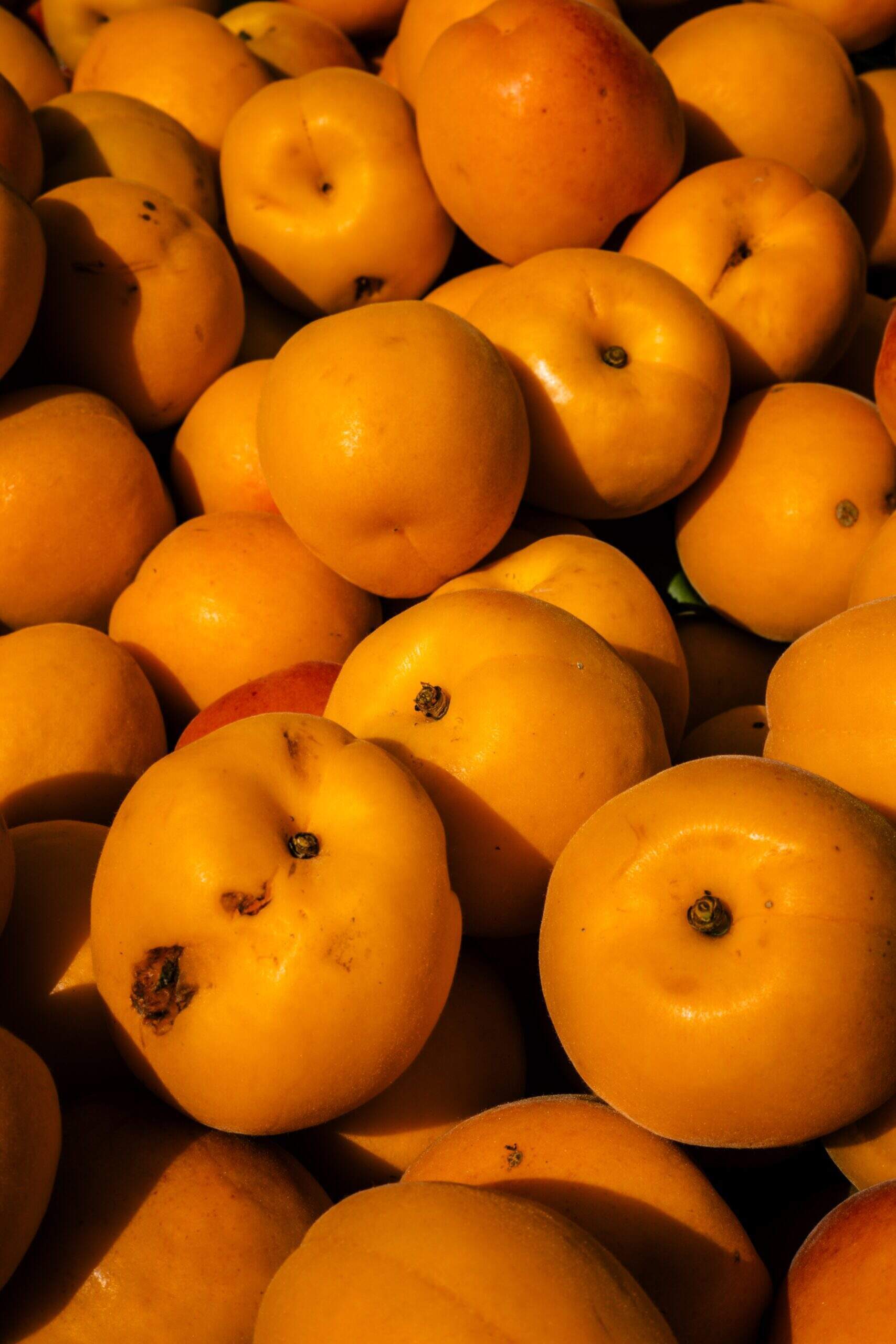 Quels sont les bienfaits de l'abricot ?