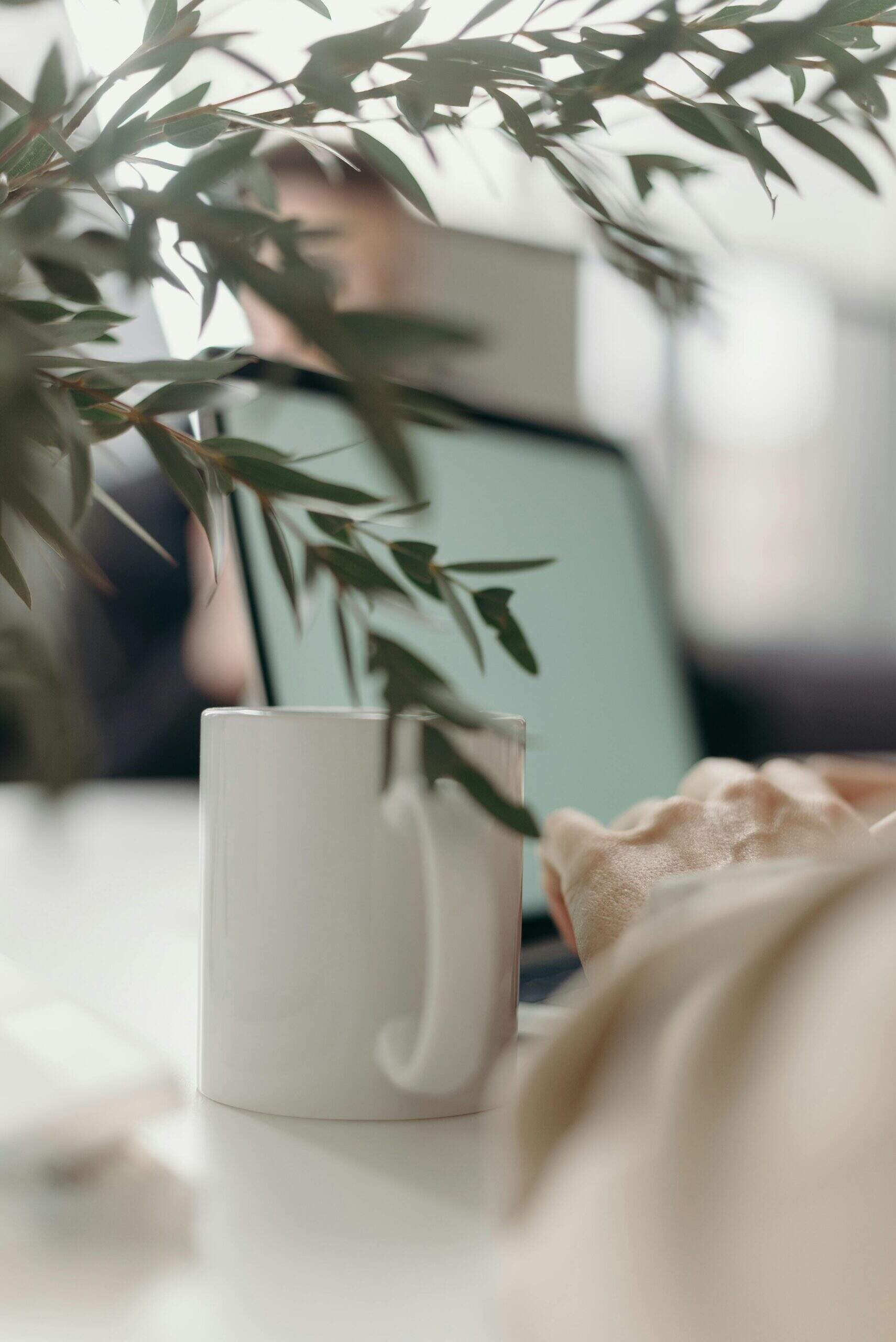 Gros plan d’une tasse blanche et de mains tapant sur un ordinateur portable, partiellement caché par des feuilles.