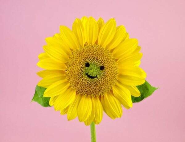 BloomingYou : le site du mieux-être