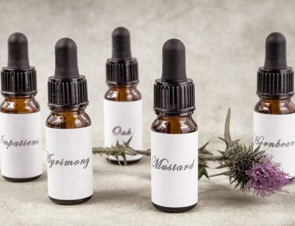 Des Fleurs de Bach pour une belle harmonie