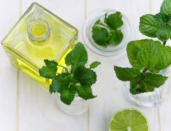 Nos huiles de saison: les 4 huiles essentielles du mois de mars