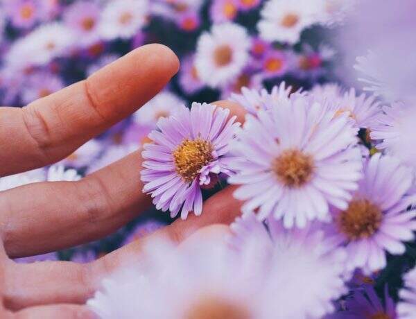 10 astuces pour gérer son allergie au pollen