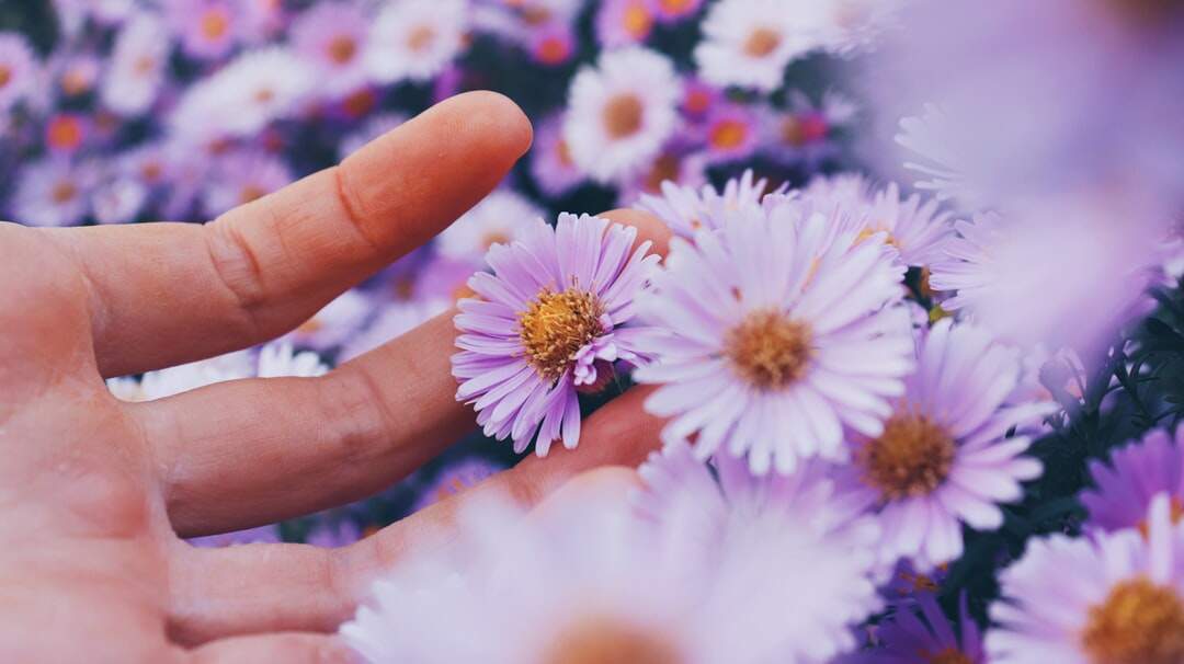 10 astuces pour gérer son allergie au pollen