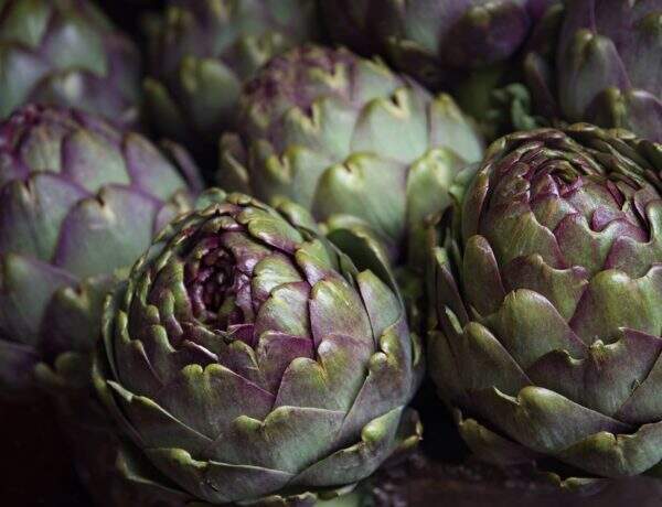 artichaut