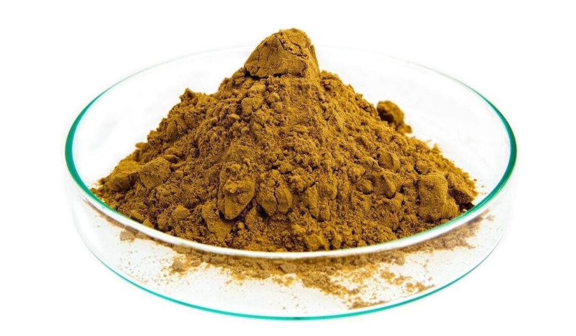 Propriétés de l'harpagophytum