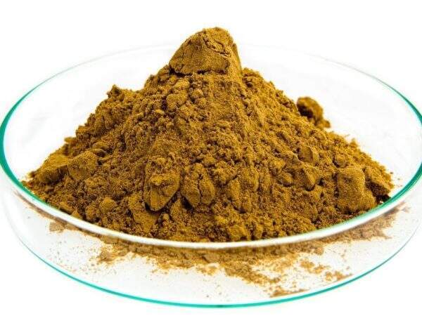 Propriétés de l'harpagophytum