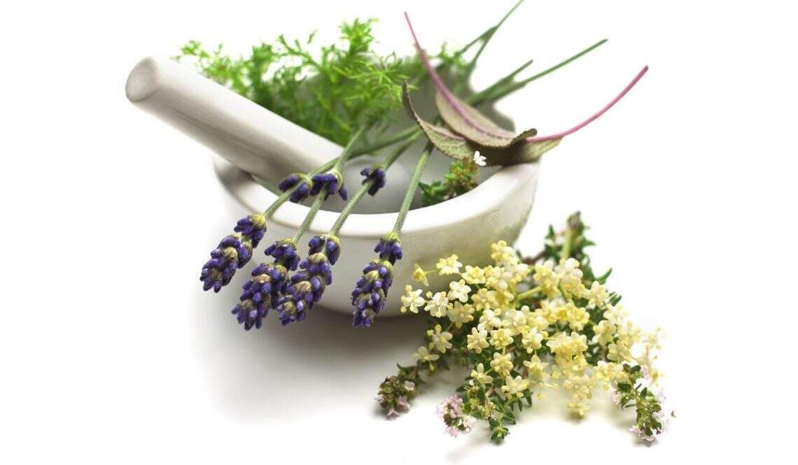 Herboristerie Obernai