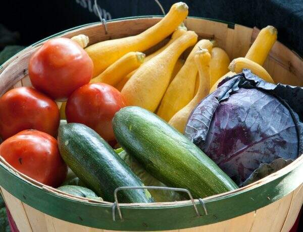 spécial diabète de type 2 : une alimentation adaptée