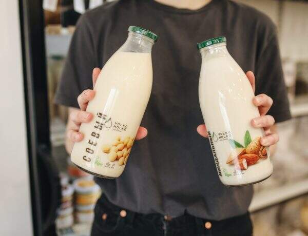 Les boissons végétales s'invitent dans notre cuisine