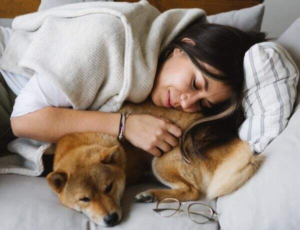 Décès animal de compagnie