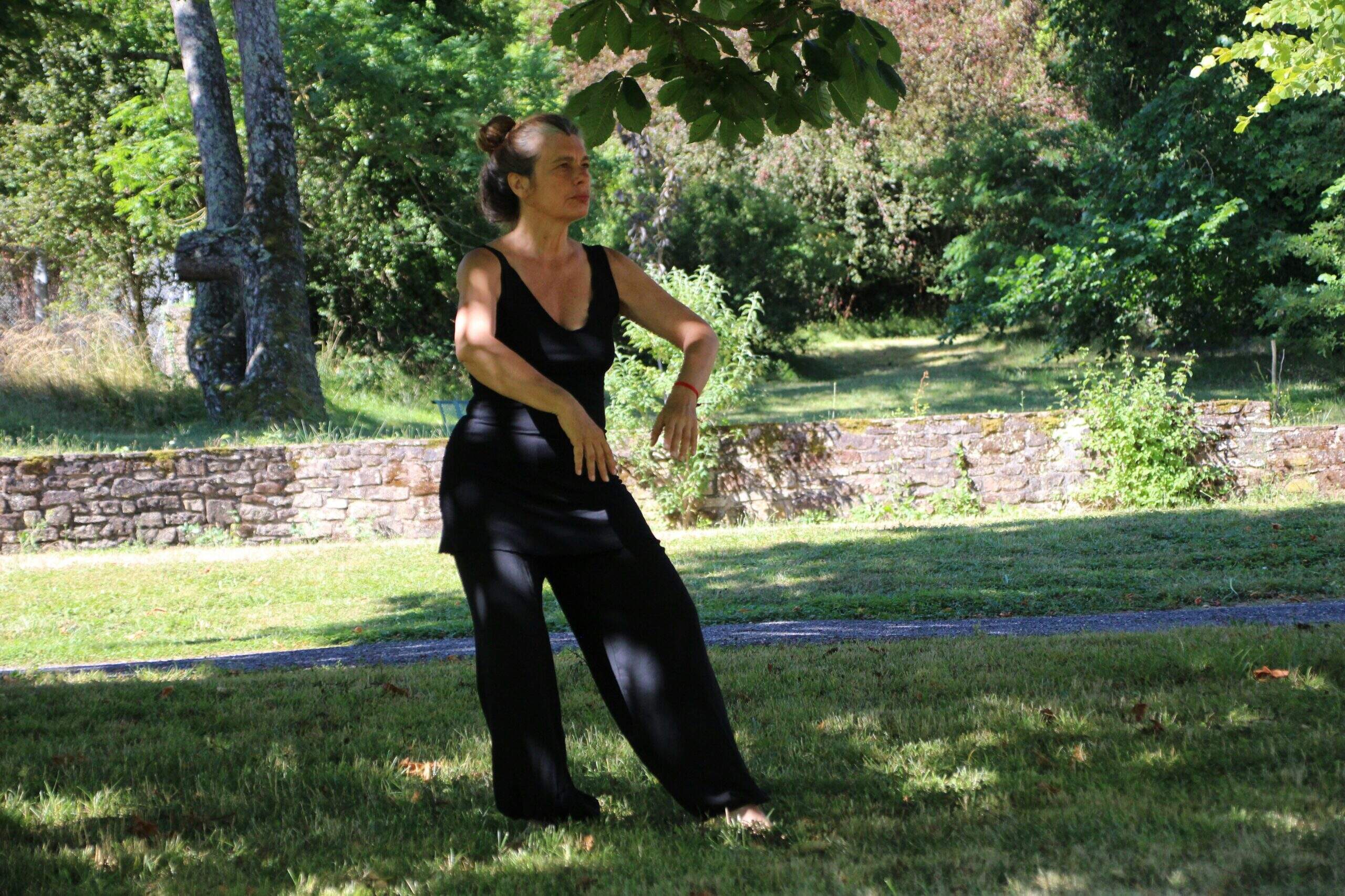 Le Dat Chi Tout savoir sur le Tai Chi ~ Blog de Medoucine