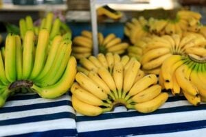 étalage de marché bananes vertes et mûres