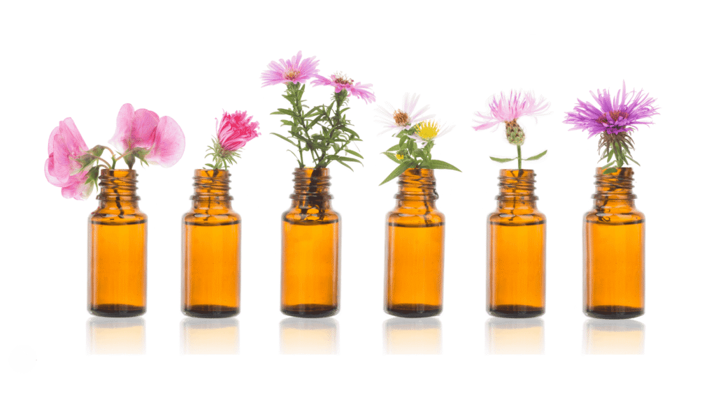 6 flacons différents de fleurs de bach