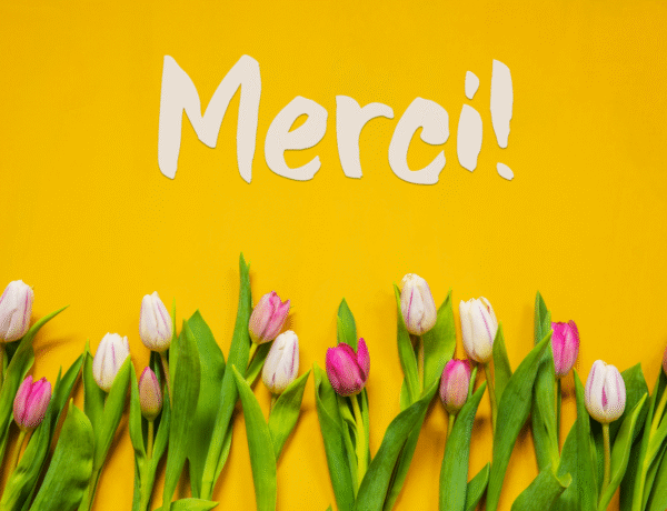 Gratitude dire Merci