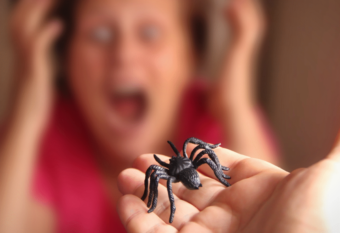 arachnohobie peur des araignées en plastique