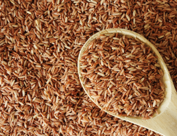 riz brun