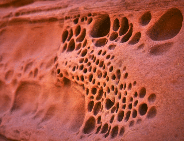 roche trous d'érosion et texture trypophobe