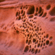 roche trous d'érosion et texture trypophobe