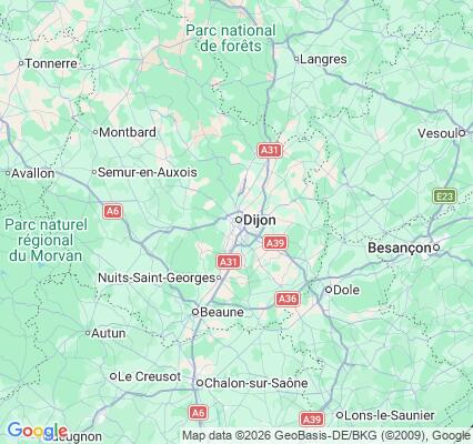 Carte des praticiens à Dijon